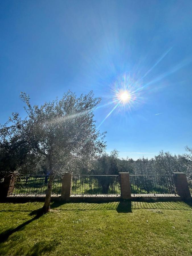 Podere La Branda Farm stay Vetralla